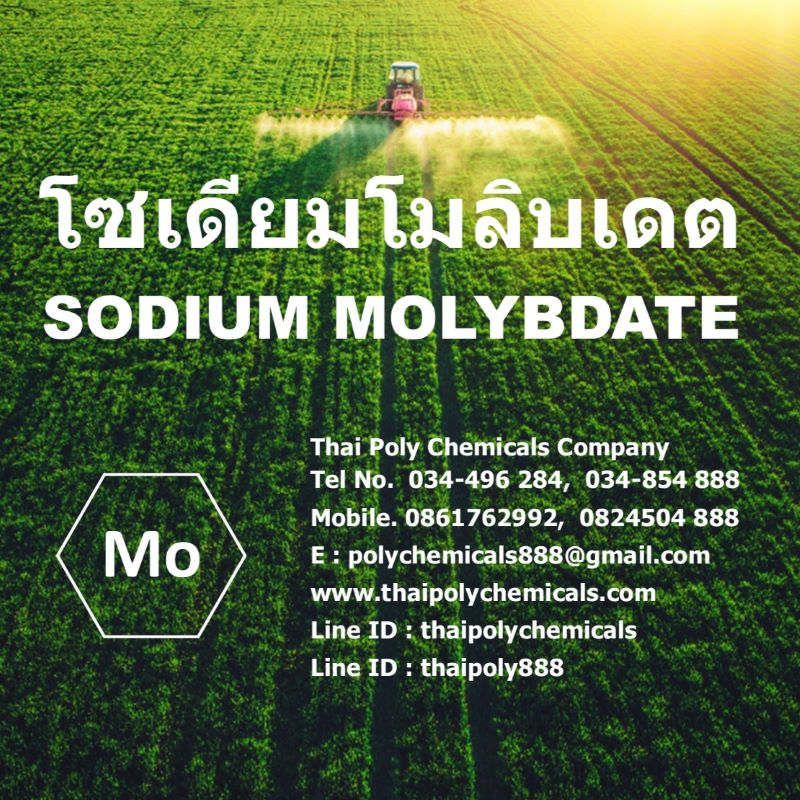 โซเดียมโมลิบเดต, ผงจุลธาตุโมลิบดินัม, โซเดียมโมลิบเดท, Sodium Molybdate, Molybdenum, Micronutrients